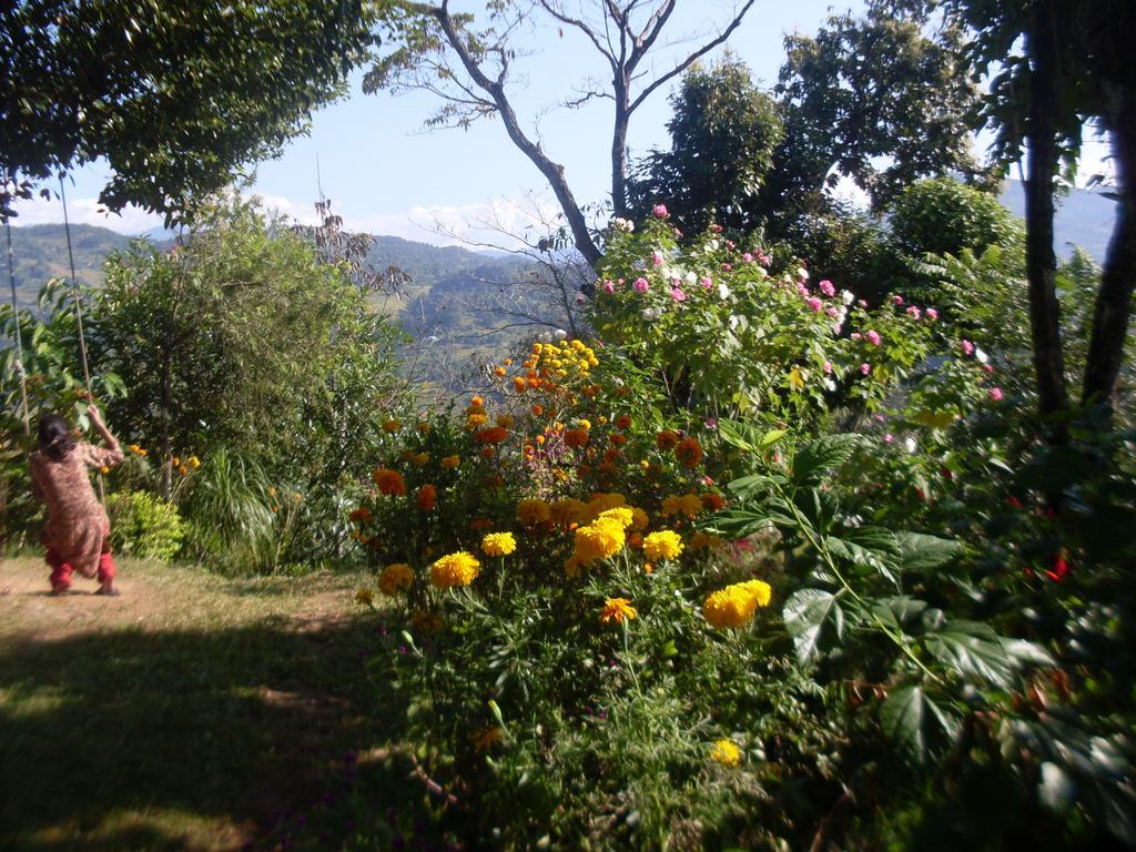 Dinesh House Bed & Breakfast Pokhara Dış mekan fotoğraf