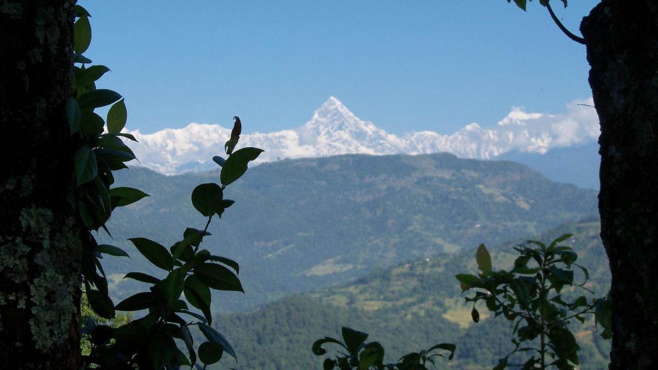 Dinesh House Bed & Breakfast Pokhara Dış mekan fotoğraf