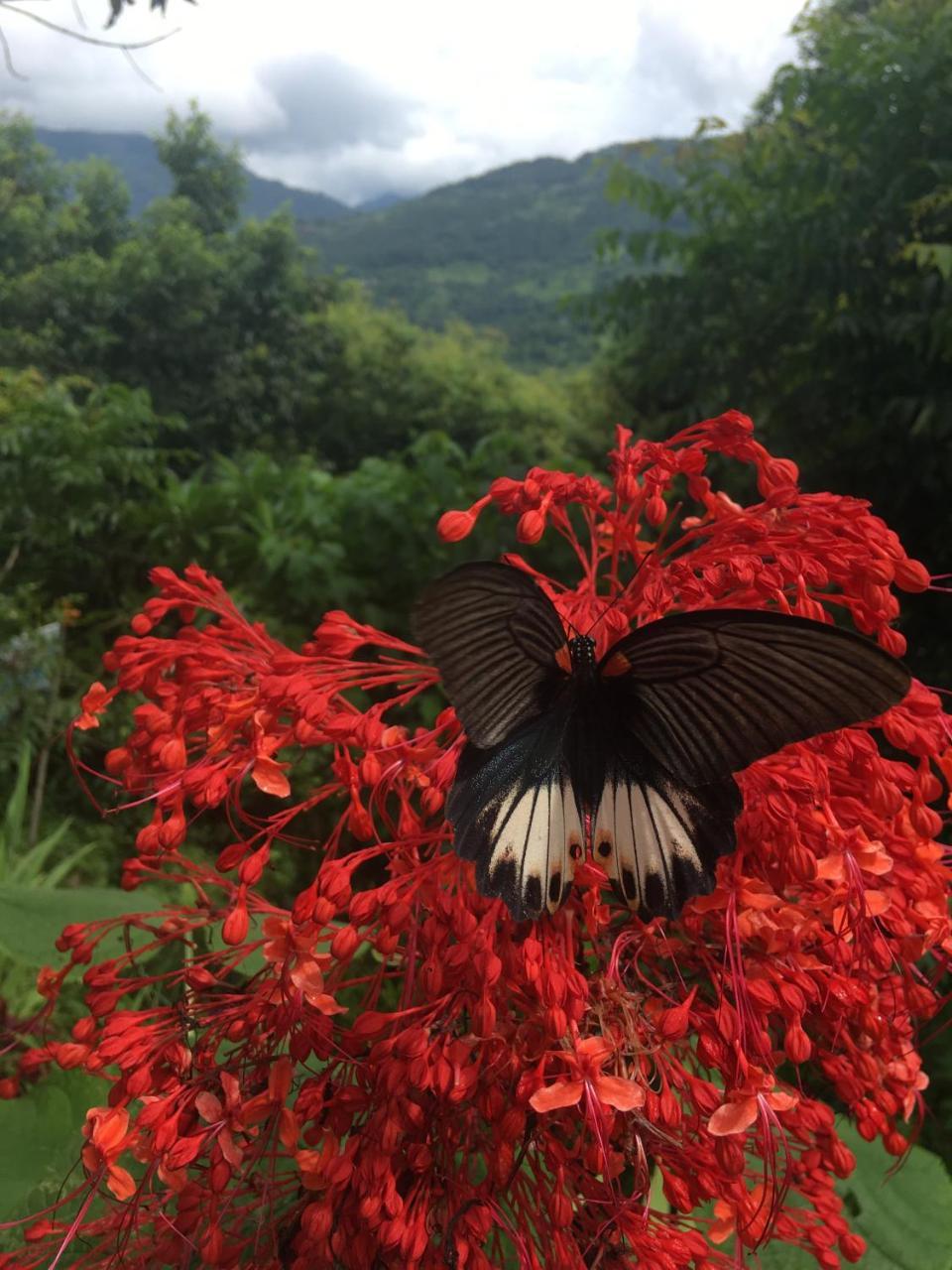 Dinesh House Bed & Breakfast Pokhara Dış mekan fotoğraf